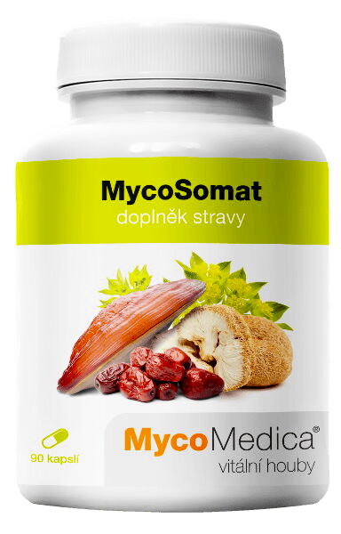 EXP MycoMedica MycoSomat 90 kapslí