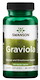 EXP Swanson Graviola 530 mg 60 kapslí