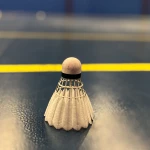 Badmintonové míče Victor Carbonsonic