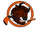 Buffalos hockey AT