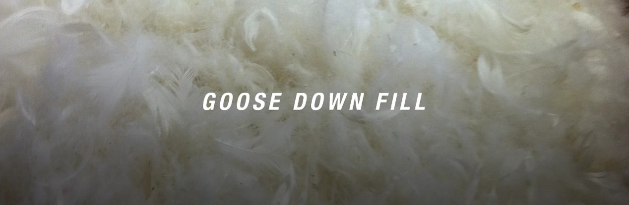 GOOSE DOWN FILL